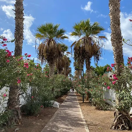 Guest house The House Tenerife Compartidas Costa Adeje (Tenerife)